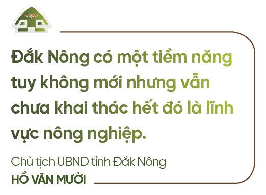 Chủ tịch UBND tỉnh Đắk Nông Hồ Văn Mười: “Đắc Nông vừa đi vừa chạy, vấp ngã cũng đứng lên” - Ảnh 4.