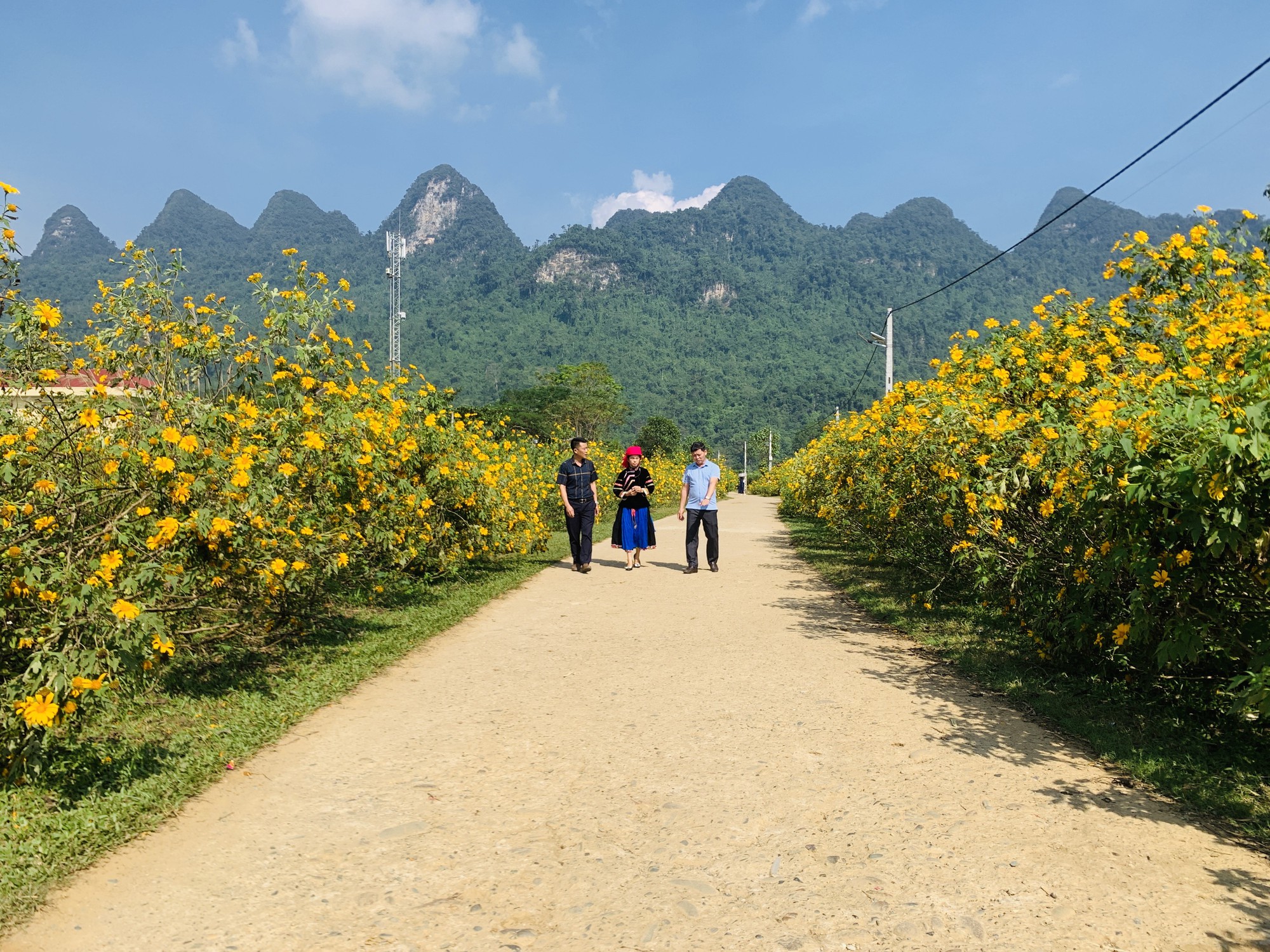 Nông thôn mới Hà Giang: Vị Xuyên thi tuyến đường kiểu mẫu, có đường hoa nông thôn mới sáng-xanh-sạch-đẹp - Ảnh 2.