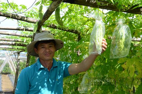 Quảng Ngãi: Mùa xuân đang về trên vùng quê nông thôn mới kiểu mẫu An Mô - Ảnh 3.