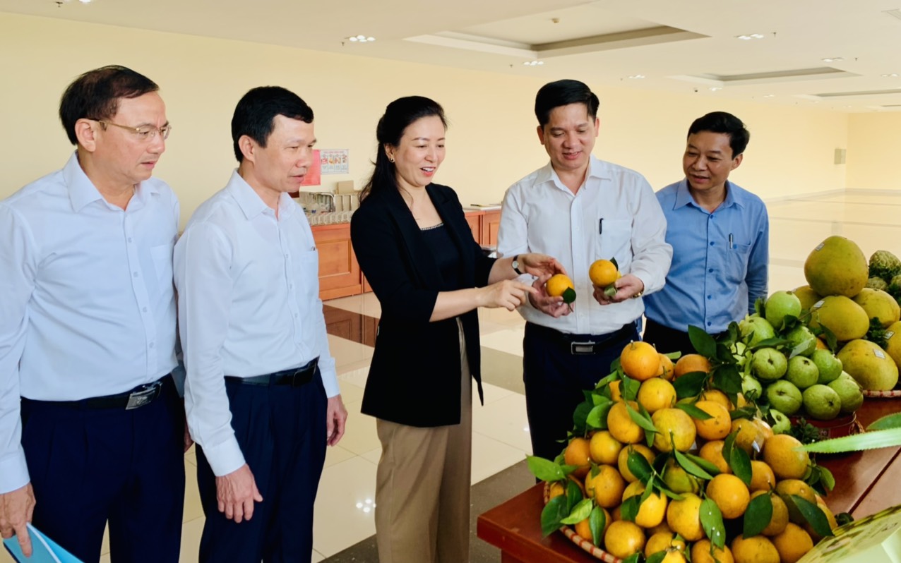 Nông dân Bắc Giang thay đổi tư duy sản xuất, nâng tầm sản phẩm, tăng thu nhập từ chương trình OCOP - Ảnh 3.