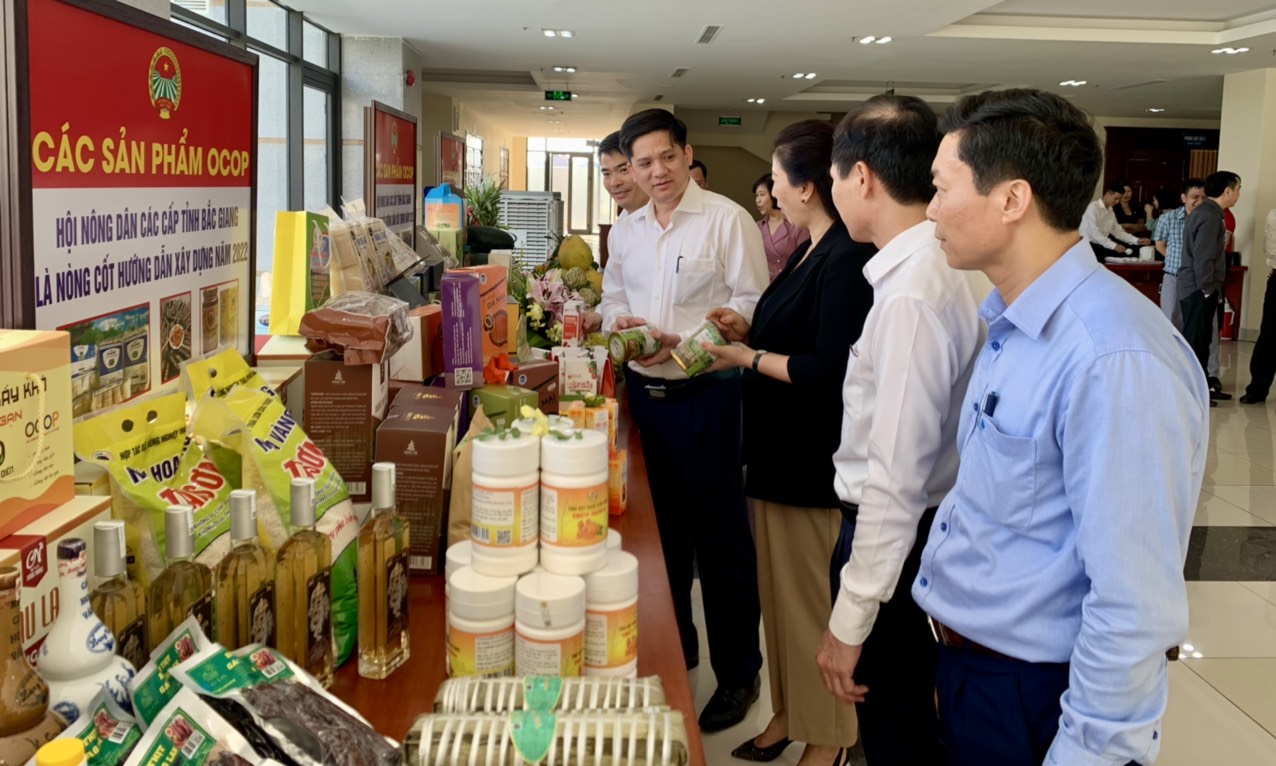 Nông dân Bắc Giang thay đổi tư duy sản xuất, nâng tầm sản phẩm, tăng thu nhập từ chương trình OCOP - Ảnh 1.