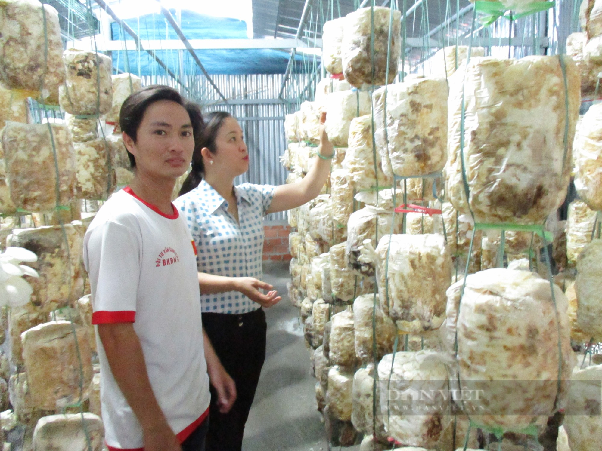 Quảng Nam: Duy Xuyên hướng đến phát triển nông nghiệp bền vững, theo chuỗi giá trị - Ảnh 5.