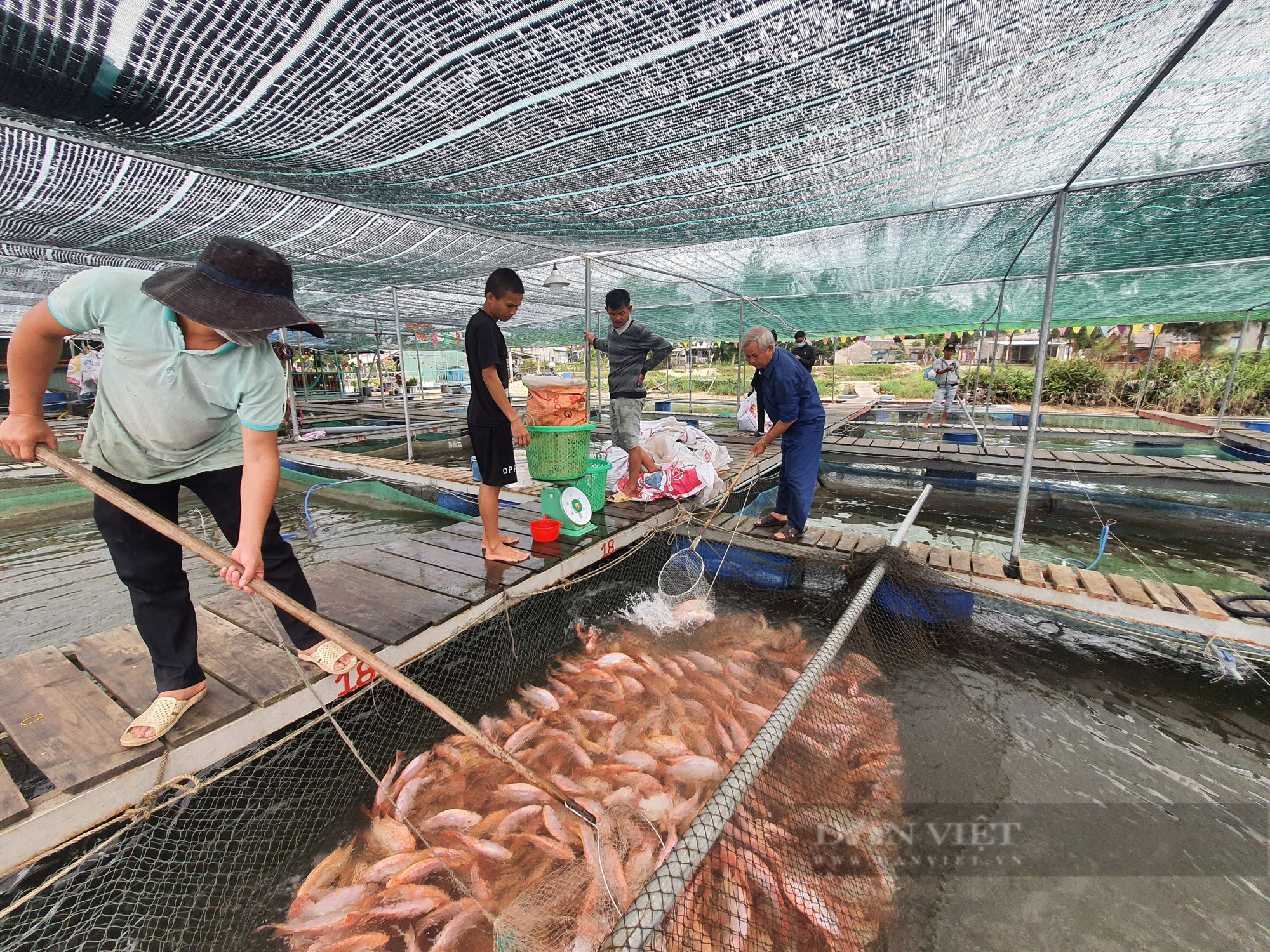 Quảng Nam: Duy Xuyên hướng đến phát triển nông nghiệp bền vững, theo chuỗi giá trị - Ảnh 2.