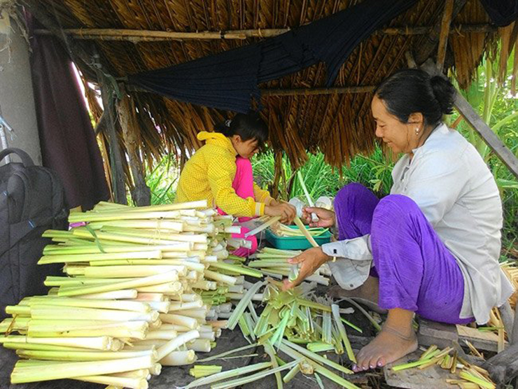 Loại cỏ dại mọc đầy ruộng giờ &quot;đẻ ra tiền&quot;, thành đặc sản miền Tây dân hái bán hốt bạc - Ảnh 4.