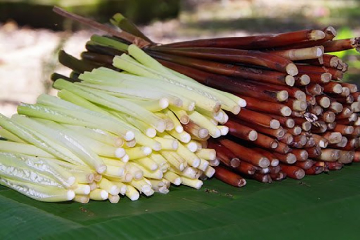 Loại cỏ dại mọc đầy ruộng giờ &quot;đẻ ra tiền&quot;, thành đặc sản miền Tây dân hái bán hốt bạc - Ảnh 7.