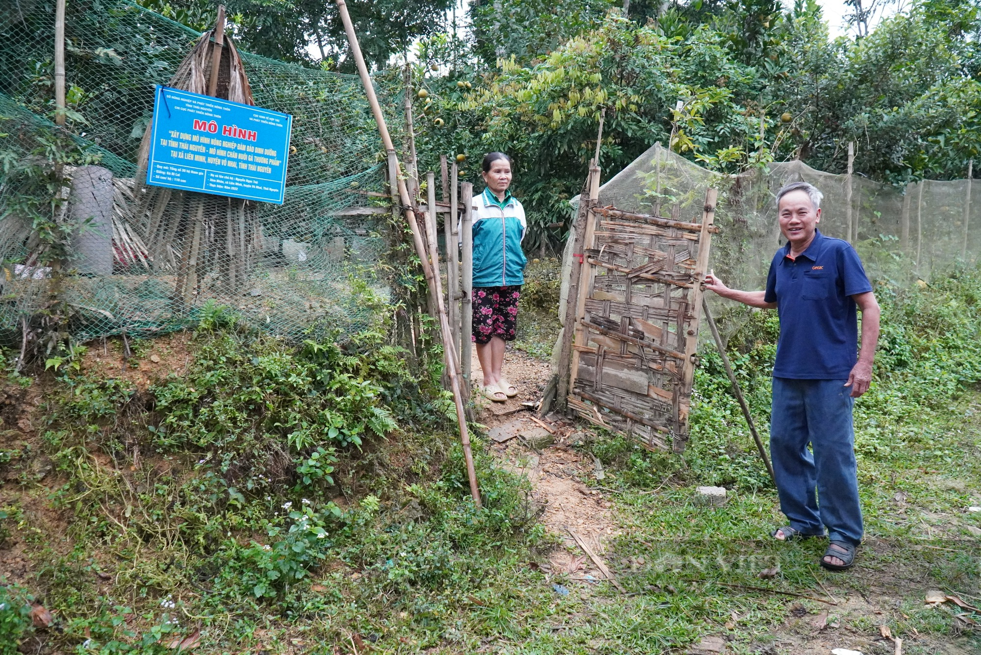 Nông nghiệp đảm bảo dinh dưỡng cho nông hộ nghèo: Chương trình &quot;Không còn nạn đói&quot; tiếp sức cho dân nghèo (Bài 2) - Ảnh 1.