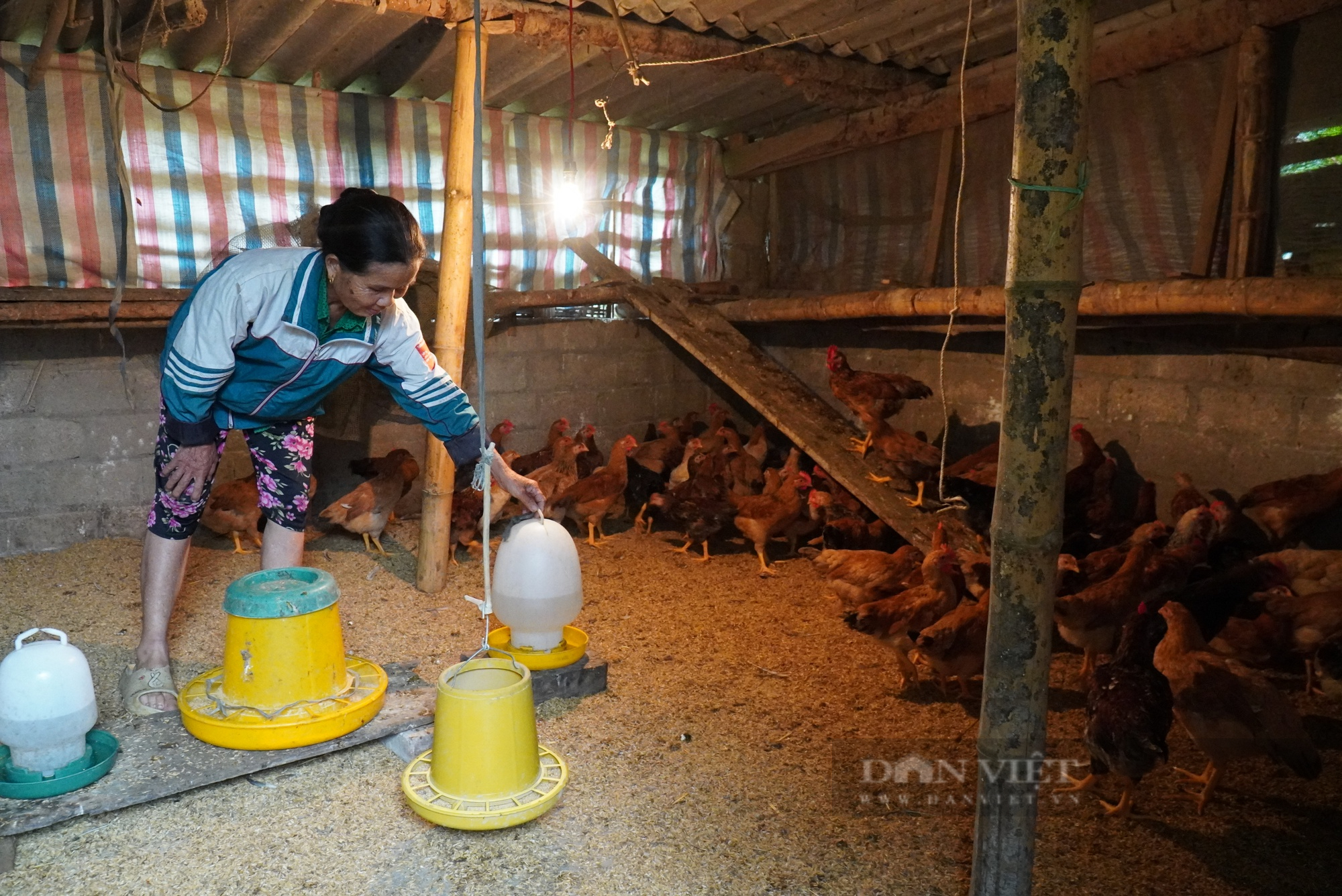 Nông nghiệp đảm bảo dinh dưỡng cho nông hộ nghèo: Chương trình &quot;Không còn nạn đói&quot; tiếp sức cho dân nghèo (Bài 2) - Ảnh 2.