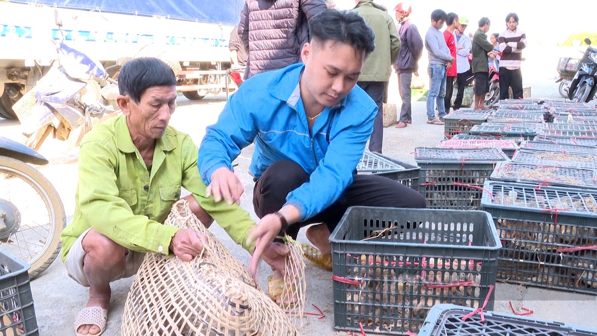 Nông nghiệp đảm bảo dinh dưỡng cho nông hộ nghèo:  Nuôi gà đẻ trứng, dân nghèo có thực phẩm cho bữa ăn (bài 1) - Ảnh 1.