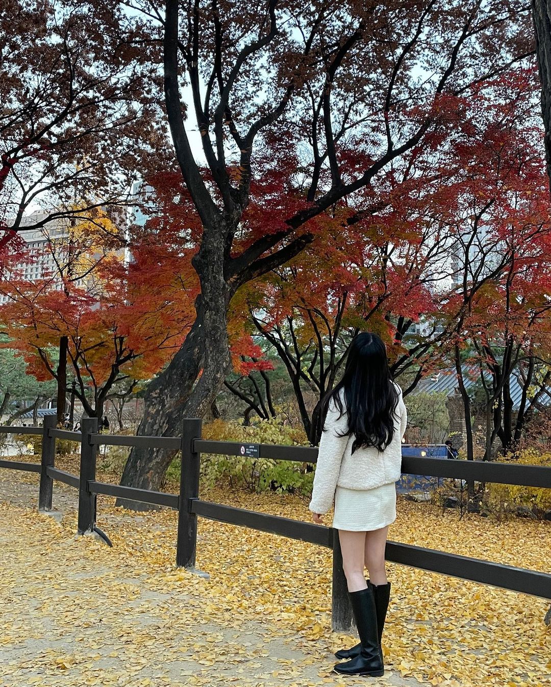 Top 6 địa điểm tận hưởng mùa thu, ngắm lá vàng rơi lãng mạn ở Hàn Quốc - Ảnh 12.