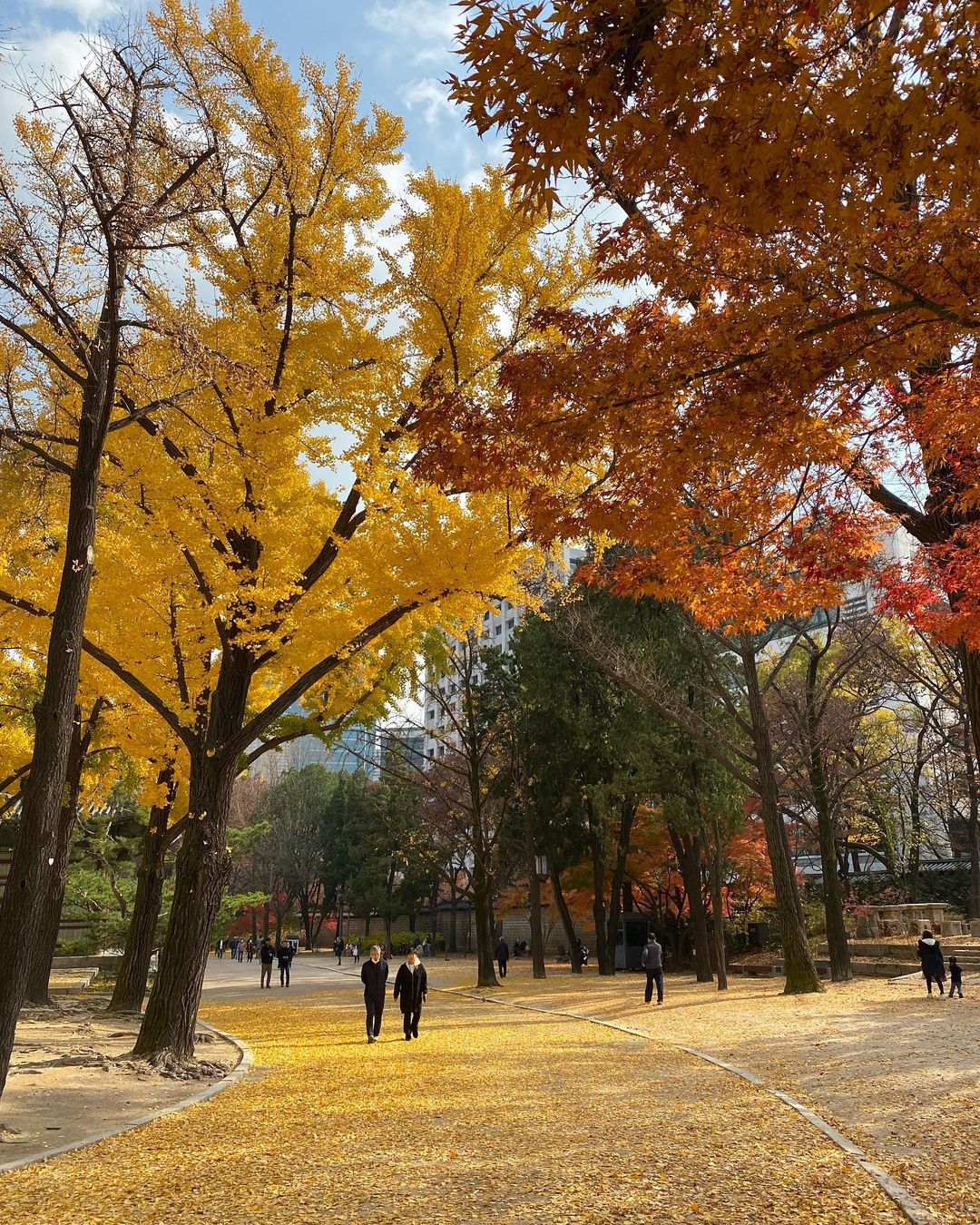 Top 6 địa điểm tận hưởng mùa thu, ngắm lá vàng rơi lãng mạn ở Hàn Quốc - Ảnh 13.