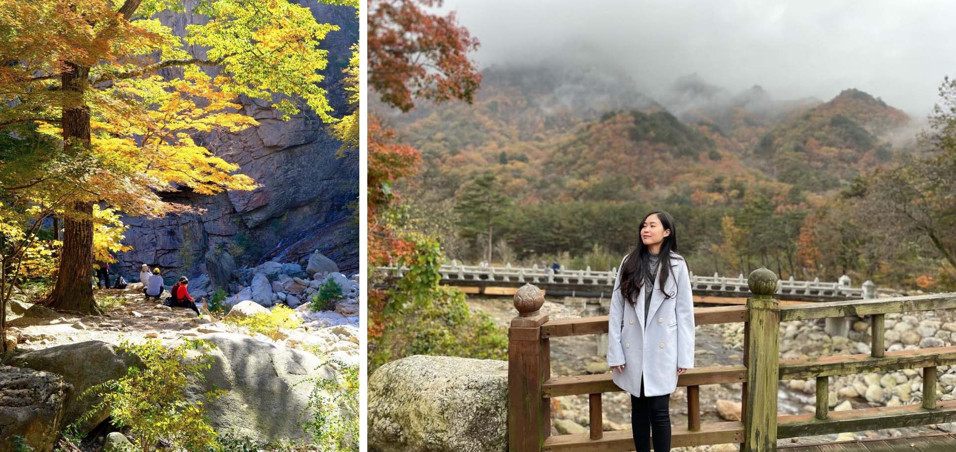 Top 6 địa điểm tận hưởng mùa thu, ngắm lá vàng rơi lãng mạn ở Hàn Quốc - Ảnh 5.