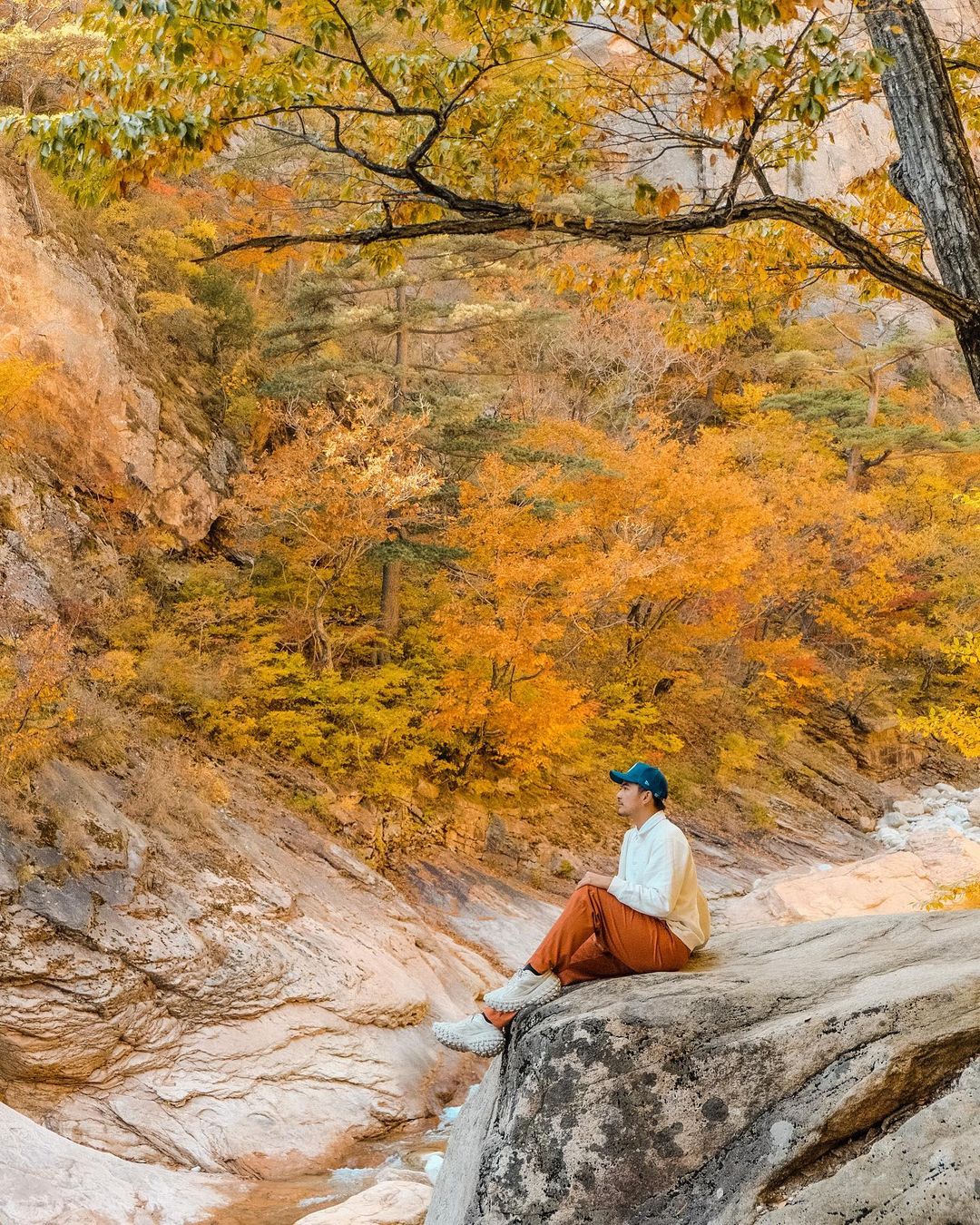 Top 6 địa điểm tận hưởng mùa thu, ngắm lá vàng rơi lãng mạn ở Hàn Quốc - Ảnh 6.