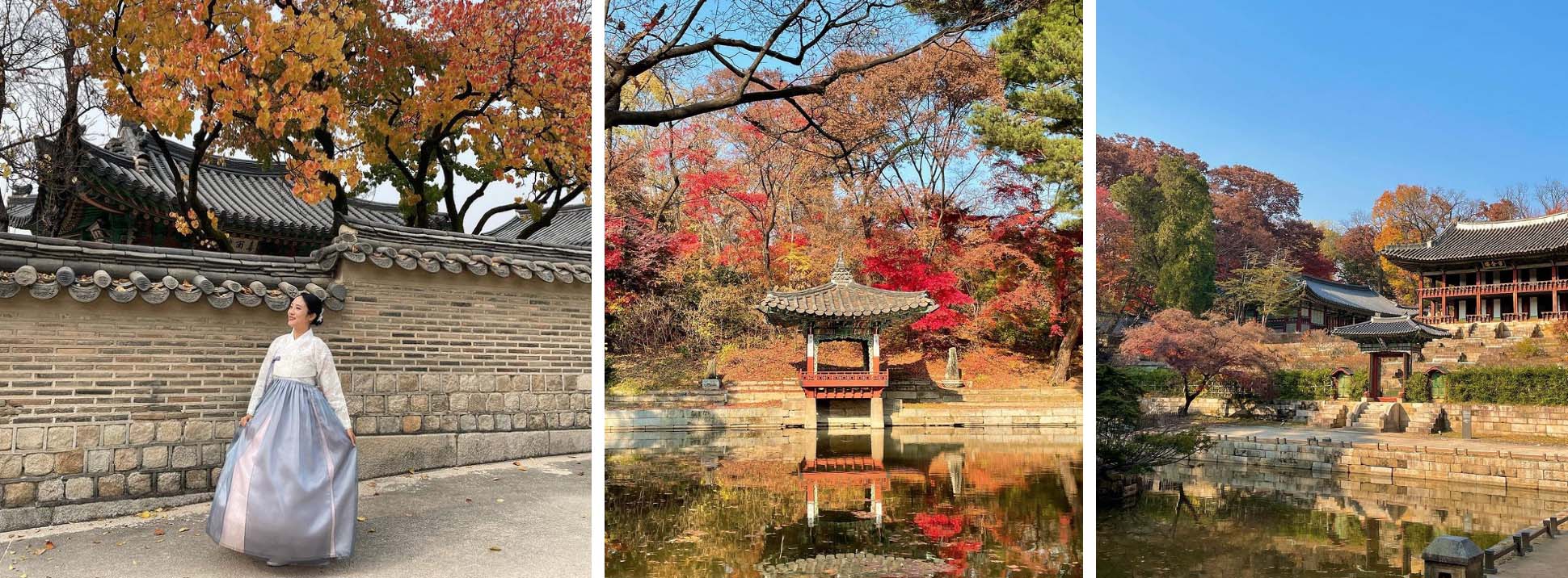 Top 6 địa điểm tận hưởng mùa thu, ngắm lá vàng rơi lãng mạn ở Hàn Quốc - Ảnh 7.