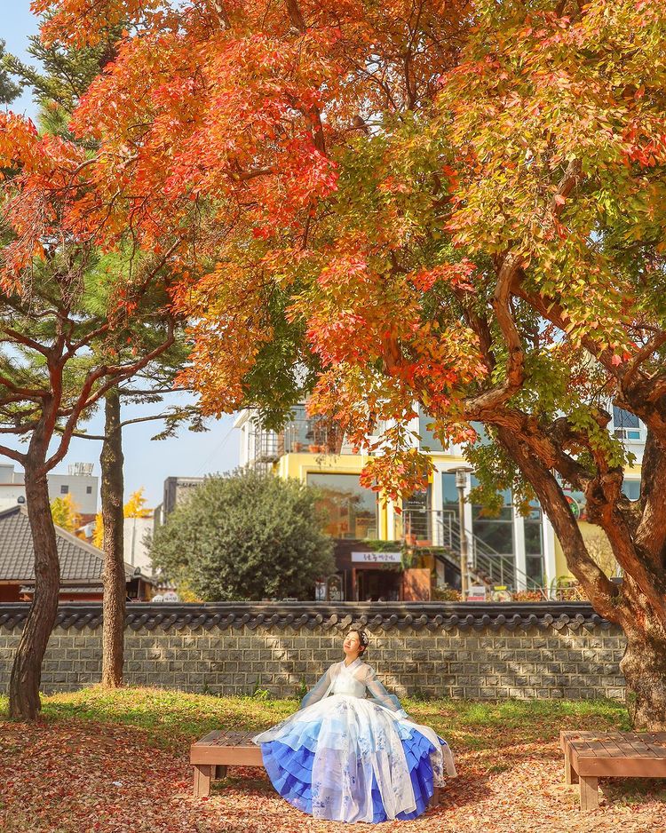 Top 6 địa điểm tận hưởng mùa thu, ngắm lá vàng rơi lãng mạn ở Hàn Quốc - Ảnh 8.