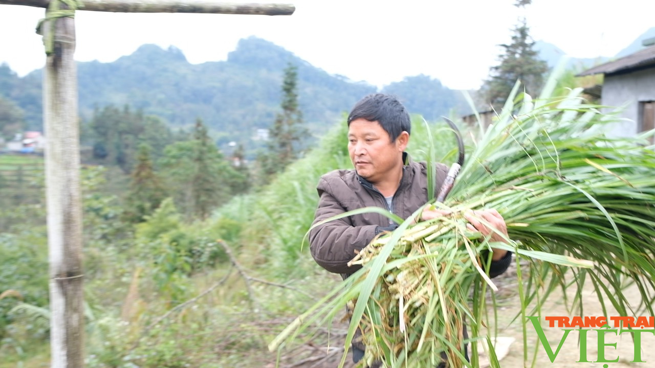 Vùng cao Lào Cai chìm trong giá rét - Ảnh 11.