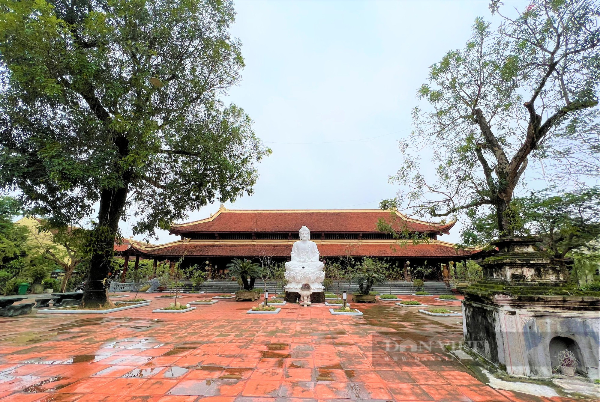 Cận cảnh cổng Tam quan chùa Thành Lương (Hà Tĩnh), được làm bằng gỗ lim &quot;khủng&quot; - Ảnh 11.