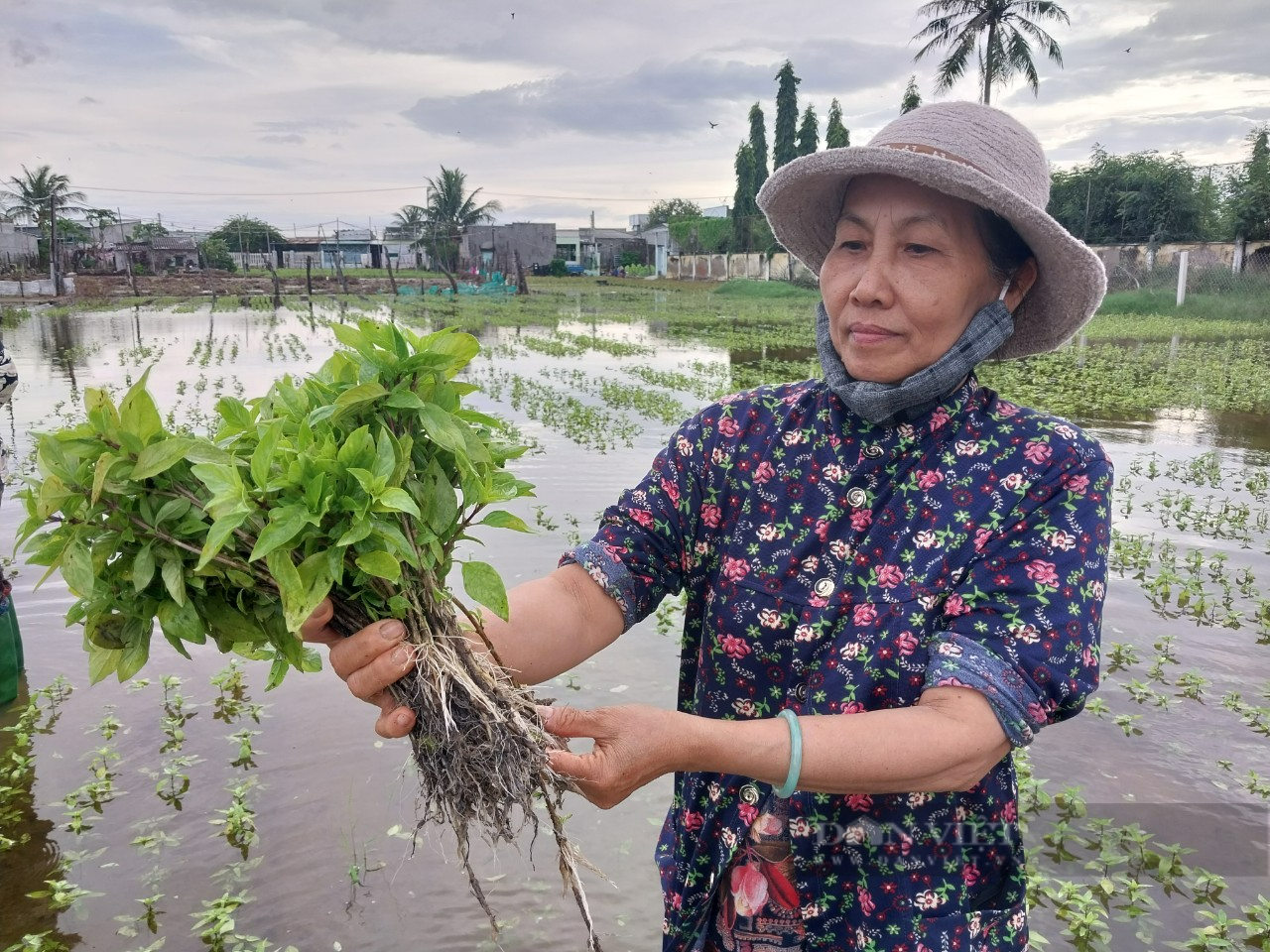 Ninh Thuận chỉ đạo chủ động ứng phó và khắc phục thiệt hại do mưa lũ sau phản ánh của Dân Việt - Ảnh 1.