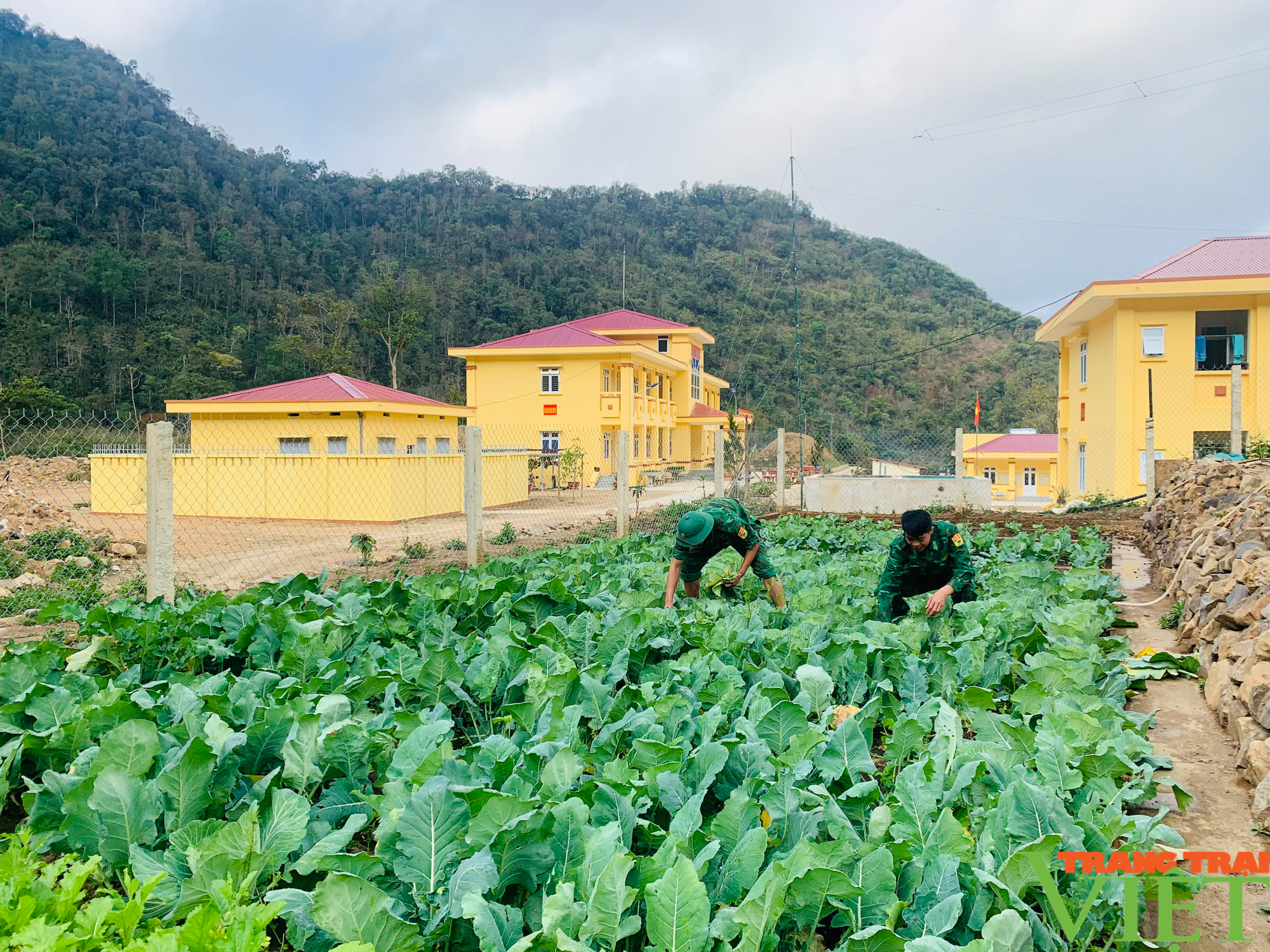 Đón Xuân ở Đồn Biên phòng Mường Lèo - Ảnh 3.