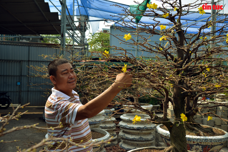 Xôn xao những cây mai vàng hình trái bóng, hình trái tim, hình con chim giá bạc tỷ ở Sài Gòn - Ảnh 4.