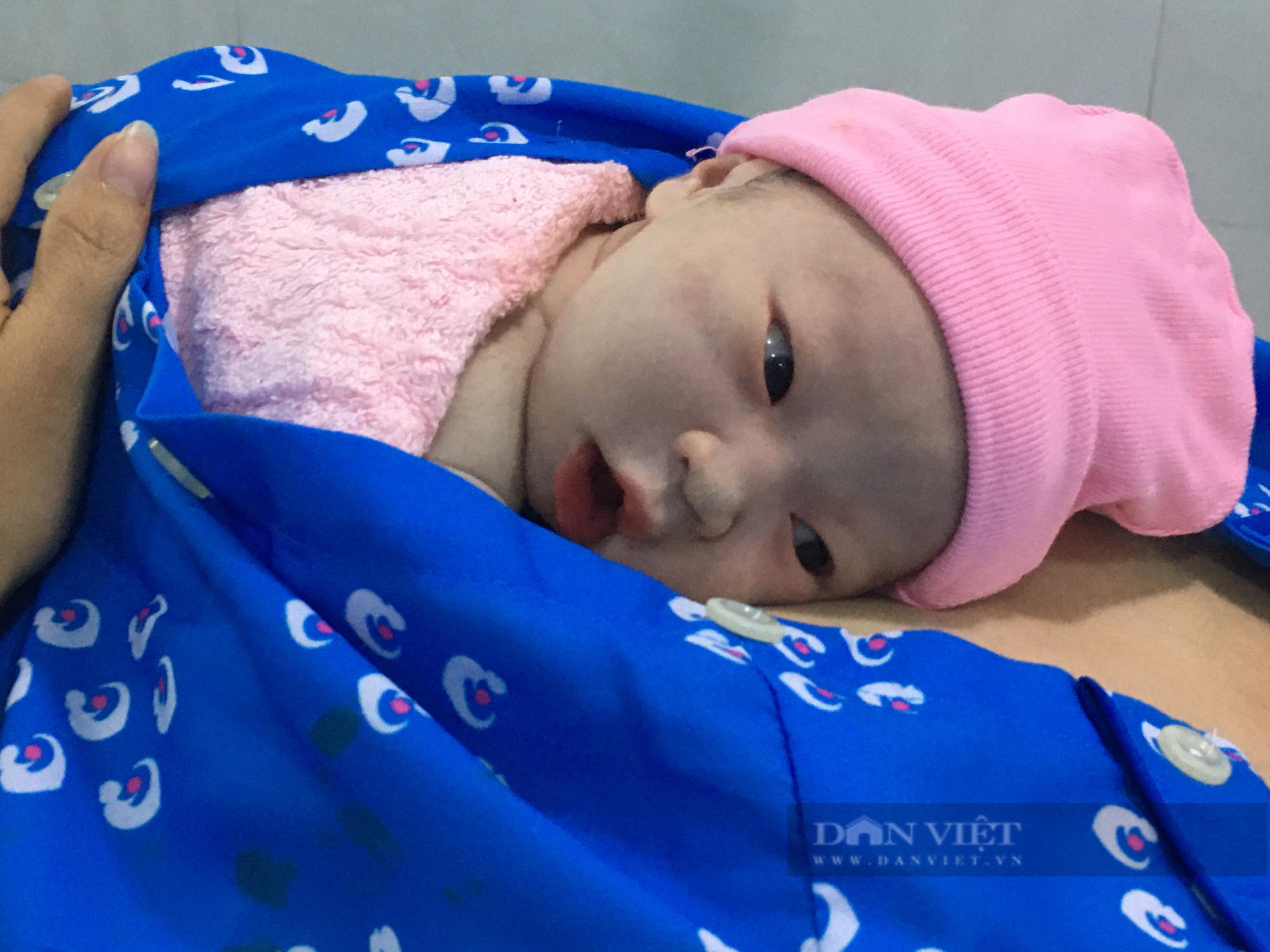 TP.HCM chào đón 4 em bé đầu tiên của năm mới Nhâm Dần - Ảnh 5.