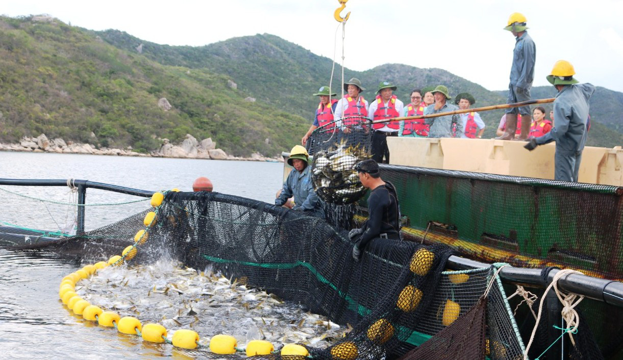 Năm 2022, có 1 mặt hàng Việt Nam sẽ xuất khẩu 2,1 triệu tấn, bất ngờ cá ngừ, nghêu ốc tăng mạnh nhất - Ảnh 1.