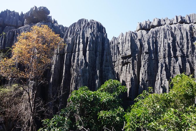 &quot;Rừng dao&quot; Tsingy, điểm du lịch mạo hiểm nhất thế giới - Ảnh 3.