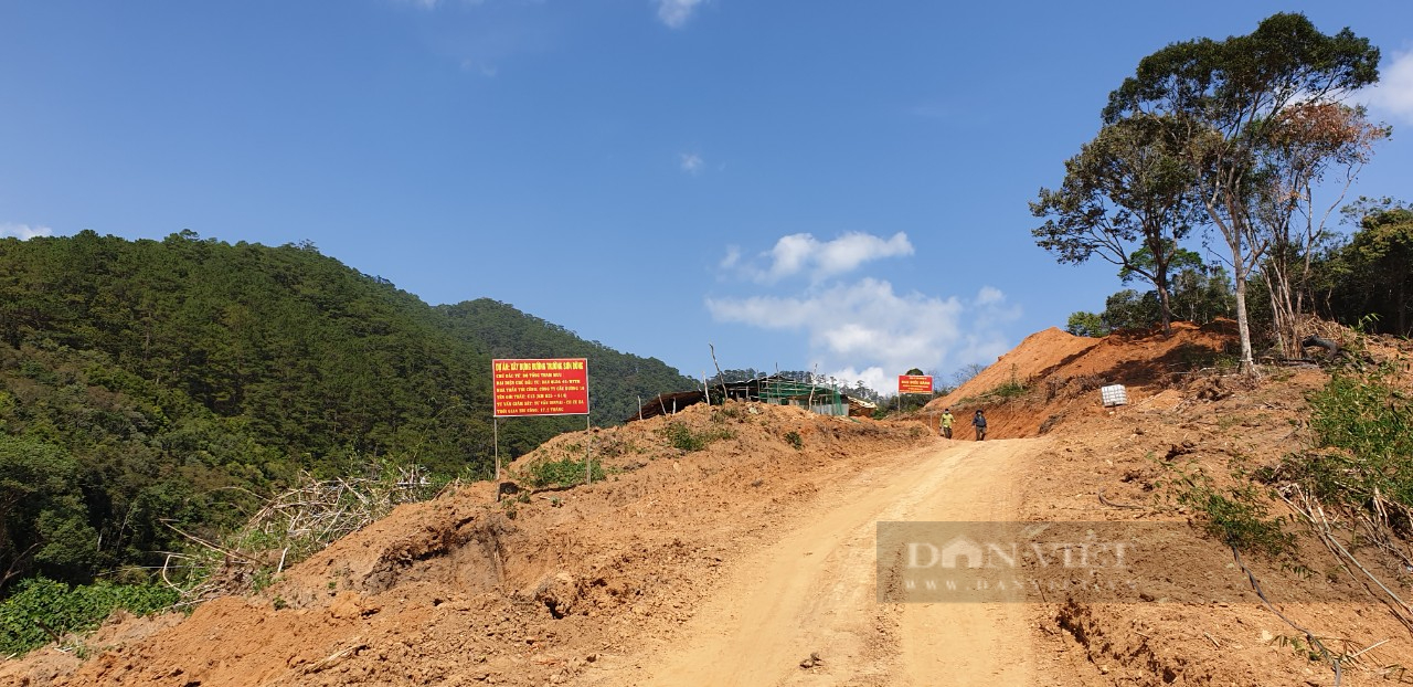 Đắk Lắk: Hơn 15 ha rừng đặc dụng bị tàn phá trái pháp luật để thi công đường - Ảnh 1.