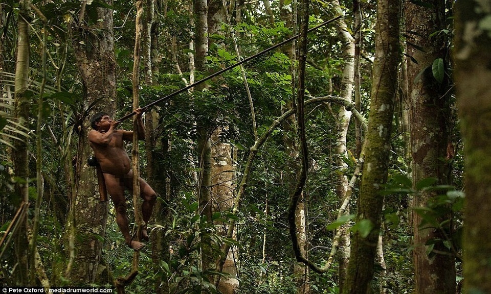 Bộ tộc sát khỉ chân 6 ngón, đu cây giỏi như Tarzan - Ảnh 4.