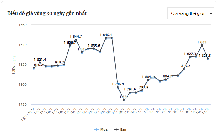 Giá vàng hôm nay 11/2: Tranh thủ vàng giảm, nhà đầu tư lại ồ ạt mua vào - Ảnh 4.