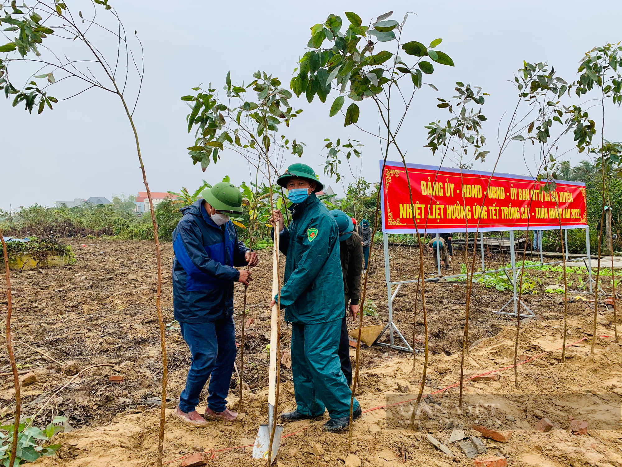 TP. Hải Dương: Chính quyền chung tay với người dân trồng cây phủ xanh đường làng nông thôn - Ảnh 2.