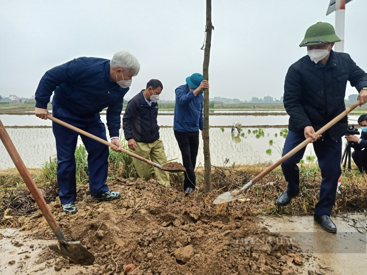 TP. Hải Dương: Chính quyền chung tay với người dân trồng cây phủ xanh đường làng nông thôn - Ảnh 4.
