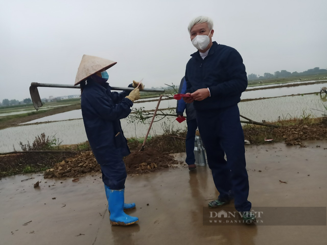 TP. Hải Dương: Chính quyền chung tay với người dân trồng cây phủ xanh đường làng nông thôn - Ảnh 5.