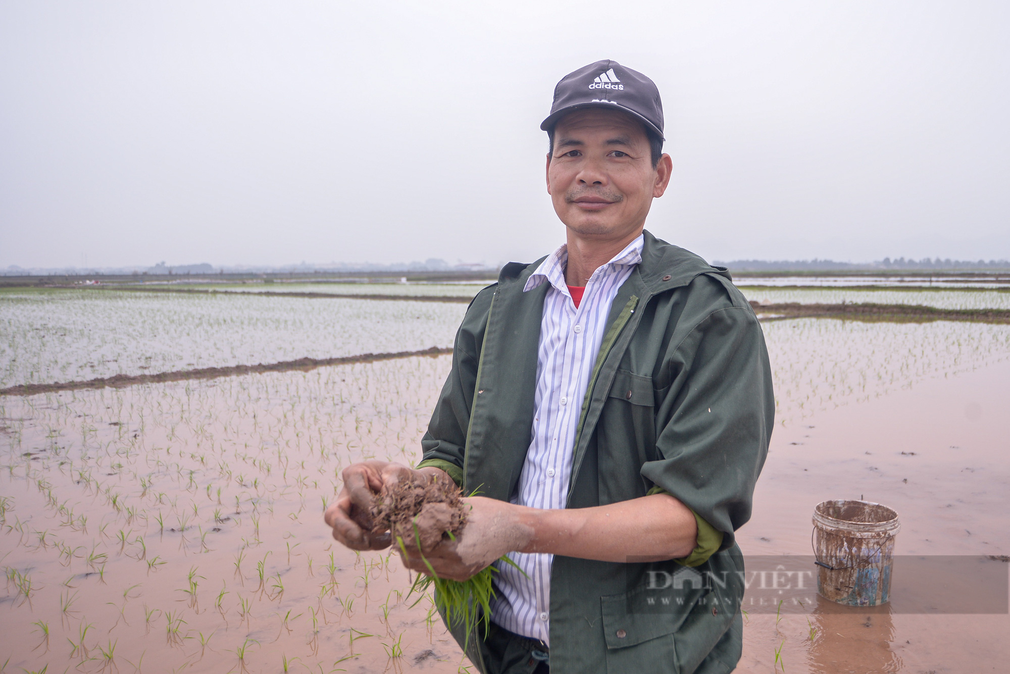 Nông dân ngoại thành Hà Nội hối hả xuống đồng sản xuất vụ Xuân 2022 - Ảnh 16.