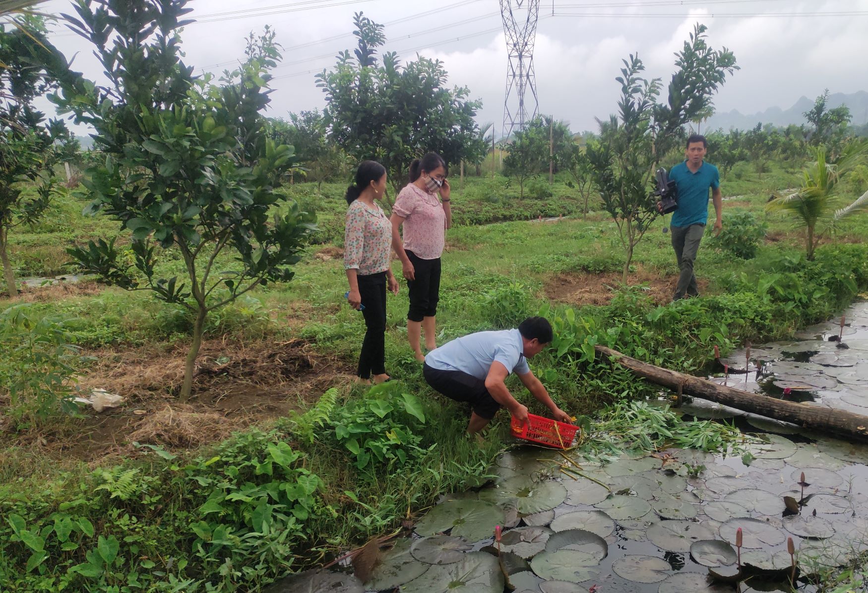 Đào rãnh nuôi con đặc sản trong ao, tới mùa nó đẻ &quot;không kịp cản&quot;, anh nông dân Hòa Bình kiếm bộn tiền - Ảnh 1.