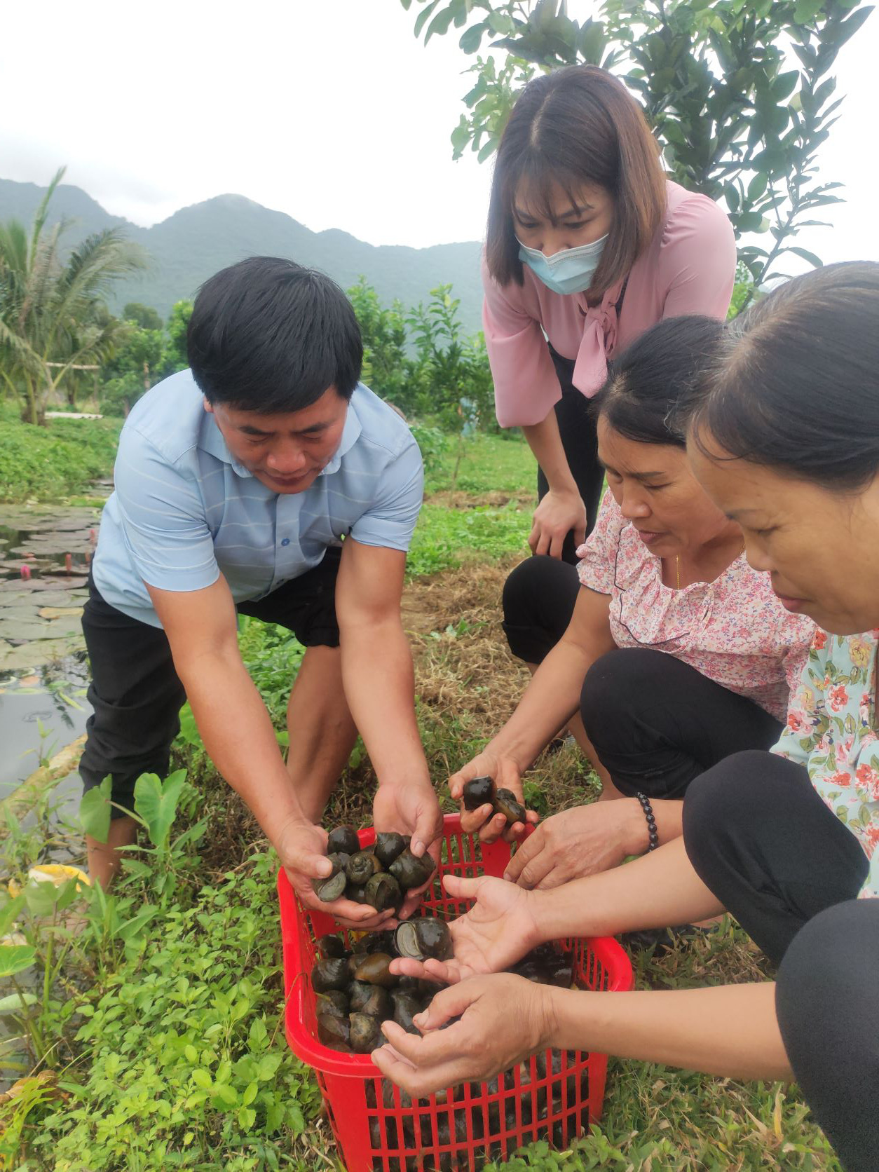 Đào rãnh nuôi con đặc sản trong ao, tới mùa nó đẻ &quot;không kịp cản&quot;, anh nông dân Hòa Bình kiếm bộn tiền - Ảnh 3.