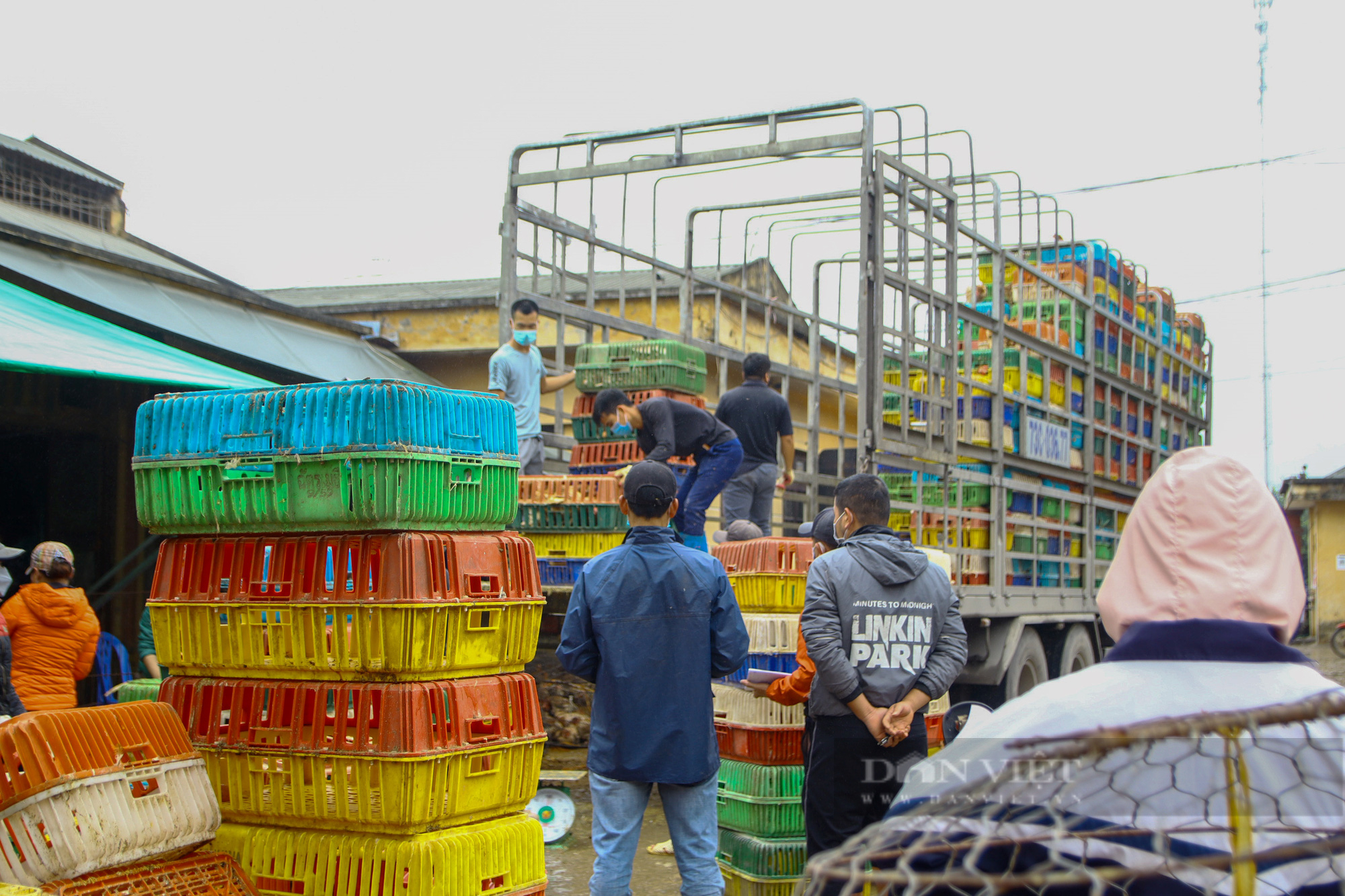 Hàng về chợ đầu mối gia cầm nhỏ giọt, tiểu thương &quot;đỏ mắt&quot; săn tìm gà thả vườn, vịt nướng - Ảnh 2.