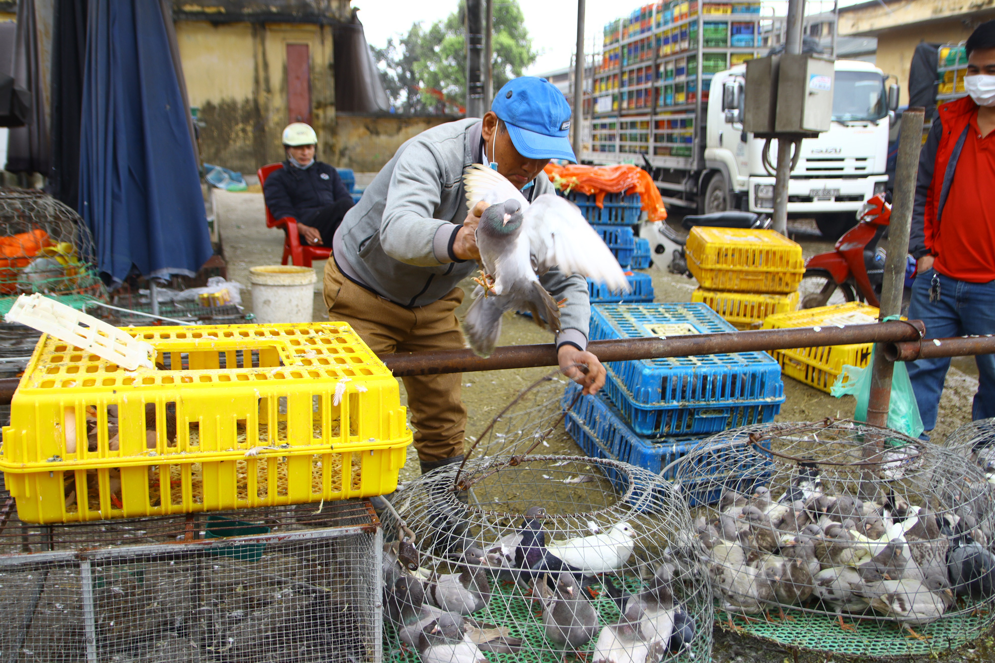 Hàng về chợ đầu mối gia cầm nhỏ giọt, tiểu thương &quot;đỏ mắt&quot; săn tìm gà thả vườn, vịt nướng - Ảnh 11.