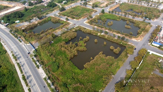 Tân Hoàng Minh và Bình Minh bỏ cọc đấu giá đất Thủ Thiêm: ‘Đấu giá đất không thể bốc đồng’ - Ảnh 2.