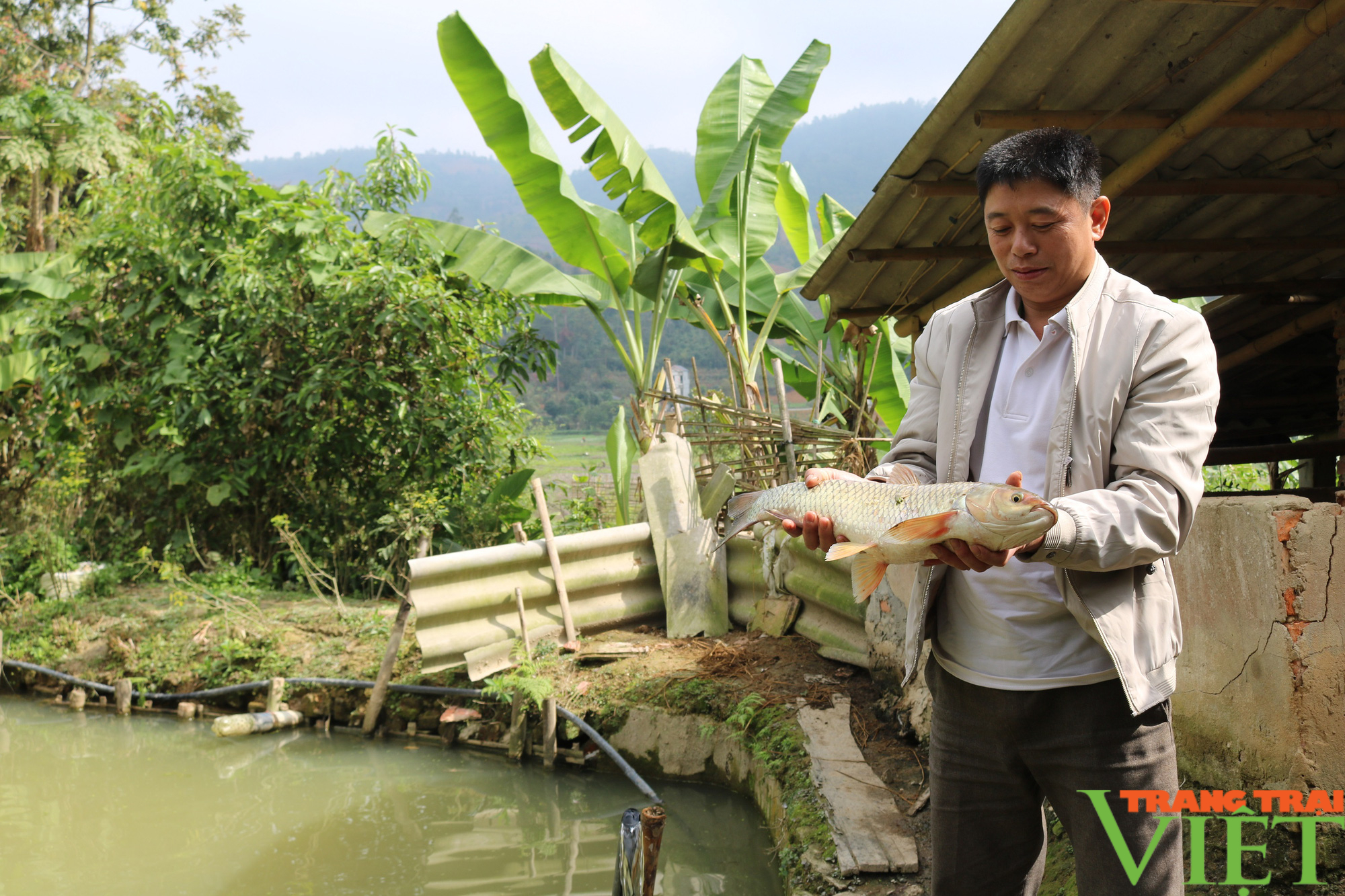 Nông thôn Tây Bắc: Quỹ Hỗ trợ nông dân tiếp sức nông dân Phổng Lăng vượt khó - Ảnh 3.