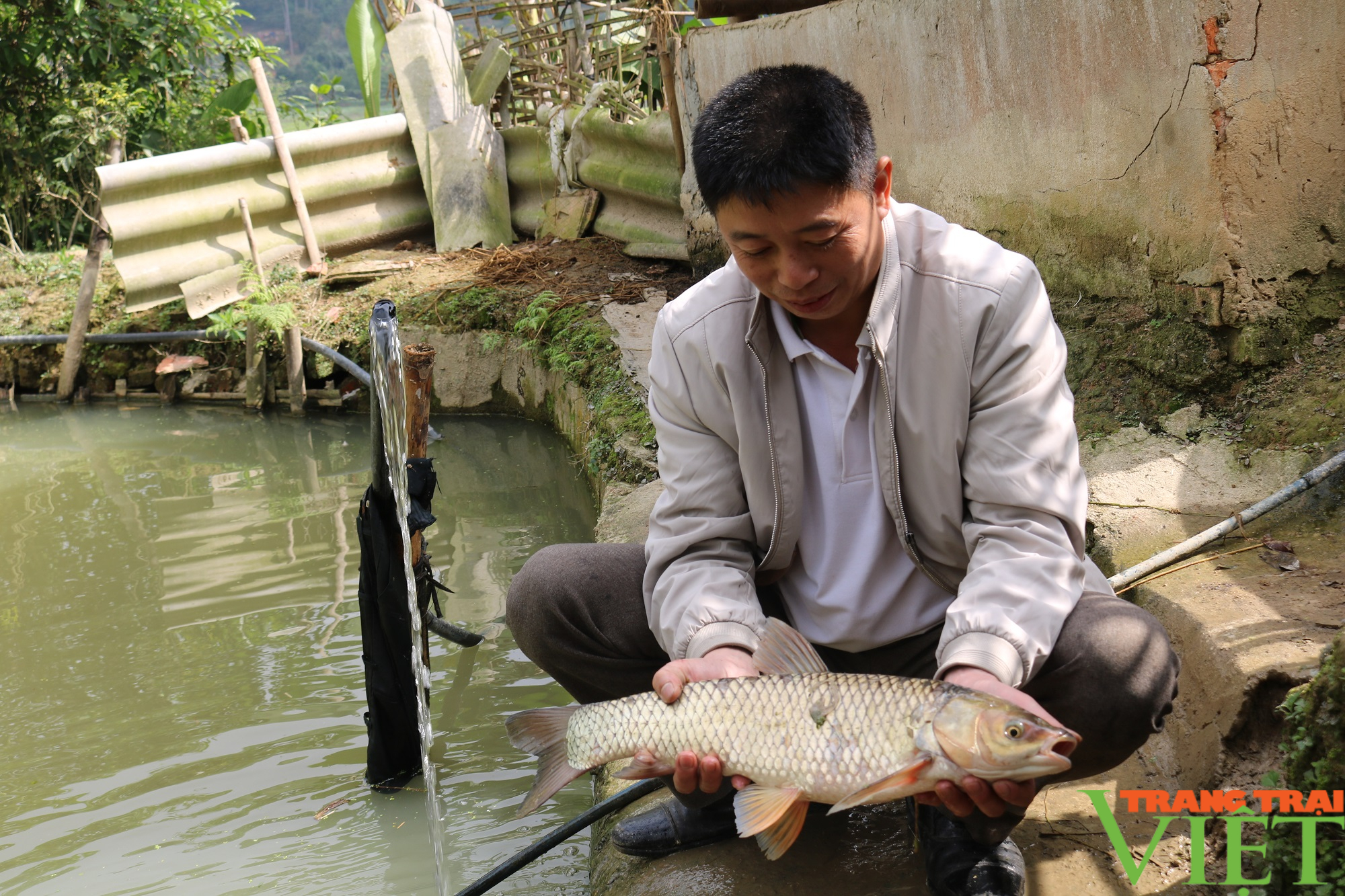 Nông thôn Tây Bắc: Quỹ Hỗ trợ nông dân tiếp sức nông dân Phổng Lăng vượt khó - Ảnh 1.