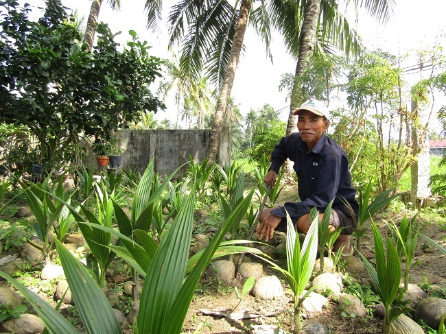 Ông nông dân Bình Định đem thứ trái to bự này ươm thành cây giống bán cho resort, ai ngờ lại trúng - Ảnh 1.