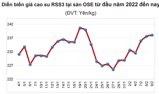 Giá cao su tại các sàn chủ chốt tăng bất chấp dự báo 'nóng' mới bất ngờ về sản lượng  - Ảnh 1.