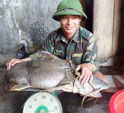 4 loài cá đặc sản quý hiếm bậc nhất miền Tây Nghệ An: &quot;Thủy quái&quot; nặng hàng yến, dài cả mét - Ảnh 4.