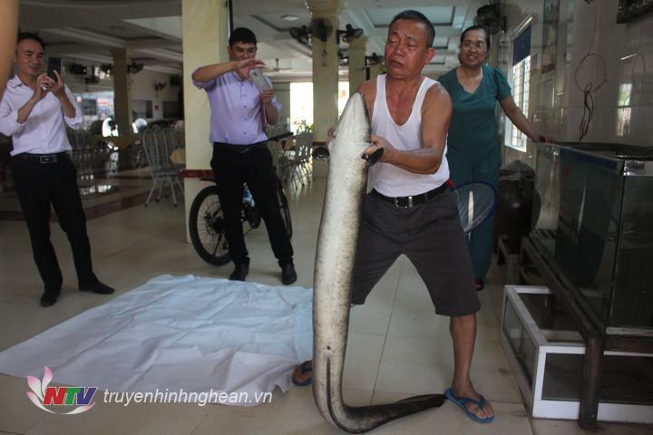 4 loài cá đặc sản quý hiếm bậc nhất miền Tây Nghệ An: &quot;Thủy quái&quot; nặng hàng yến, dài cả mét - Ảnh 1.