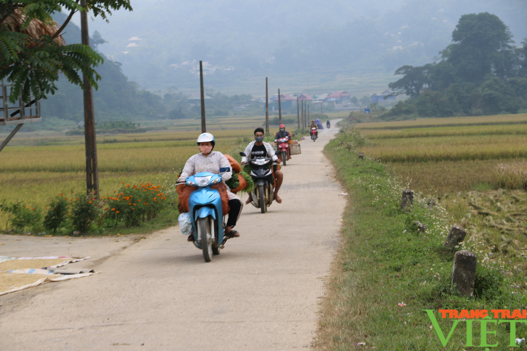 Nông thôn mới xã Quyết Chiến ngày càng thay da đổi thịt - Ảnh 3.