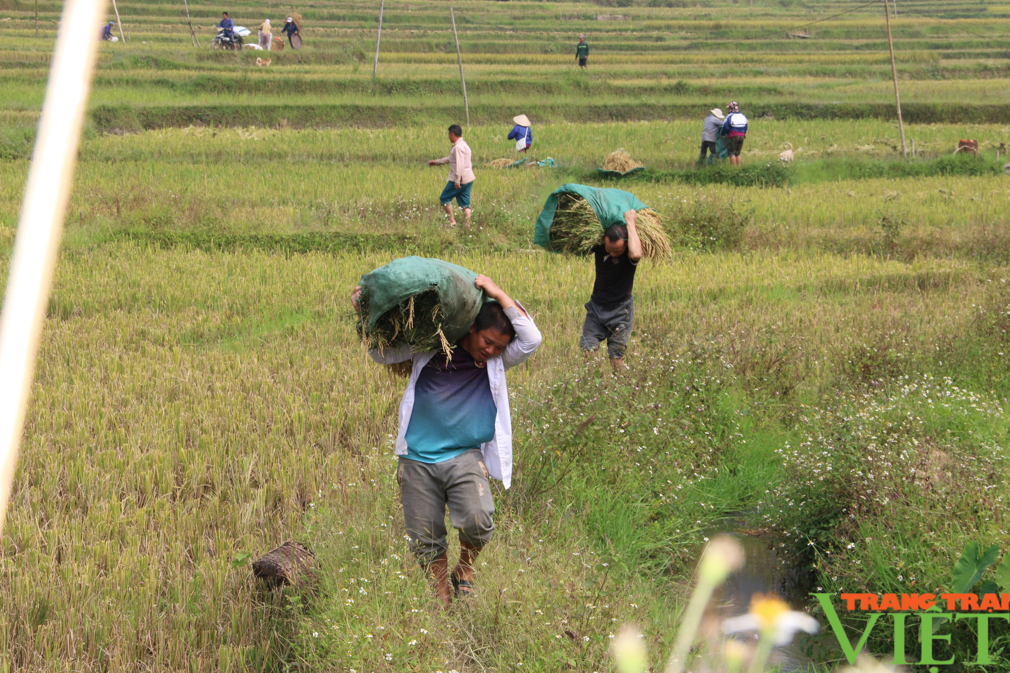 Nông thôn mới xã Quyết Chiến ngày càng thay da đổi thịt - Ảnh 4.