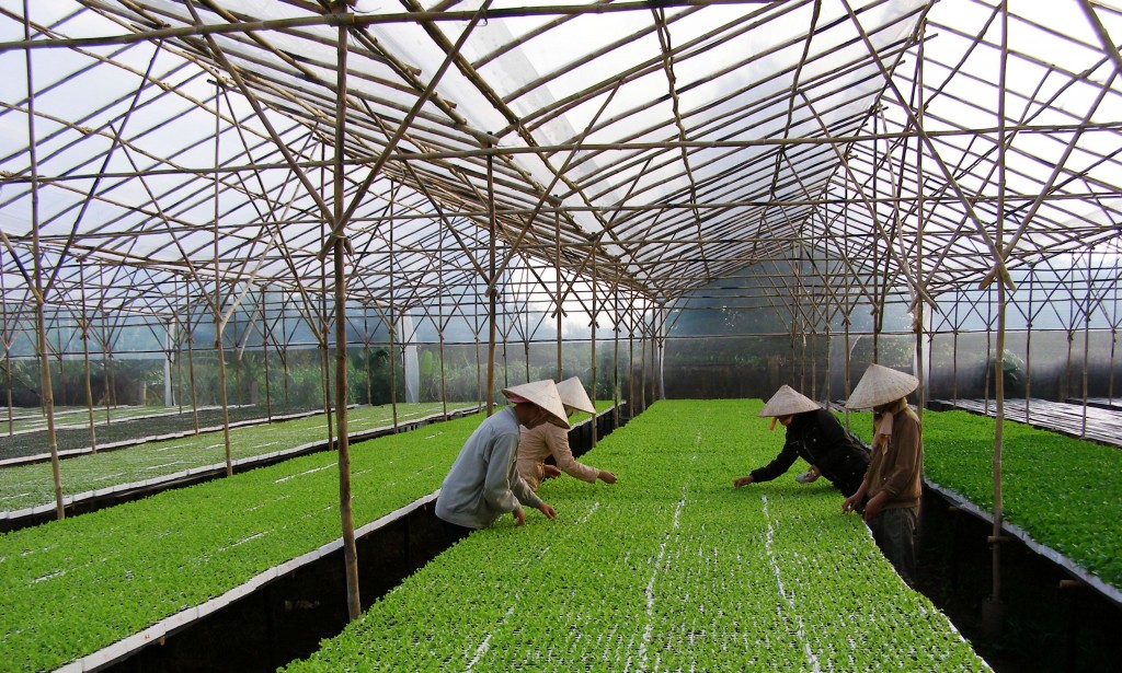 Lần đầu tiên Bộ NNPTNT kết nối đầu tư nông nghiệp với các Việt kiều - Ảnh 1.
