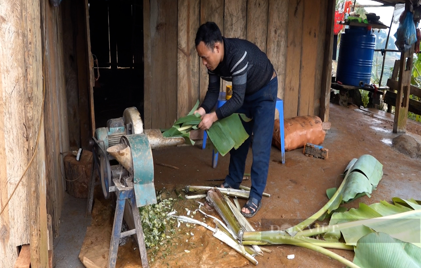 Yên Bái: Từ hộ nghèo anh nông dân này làm gì để thoát nghèo ở vùng đất khó - Ảnh 4.