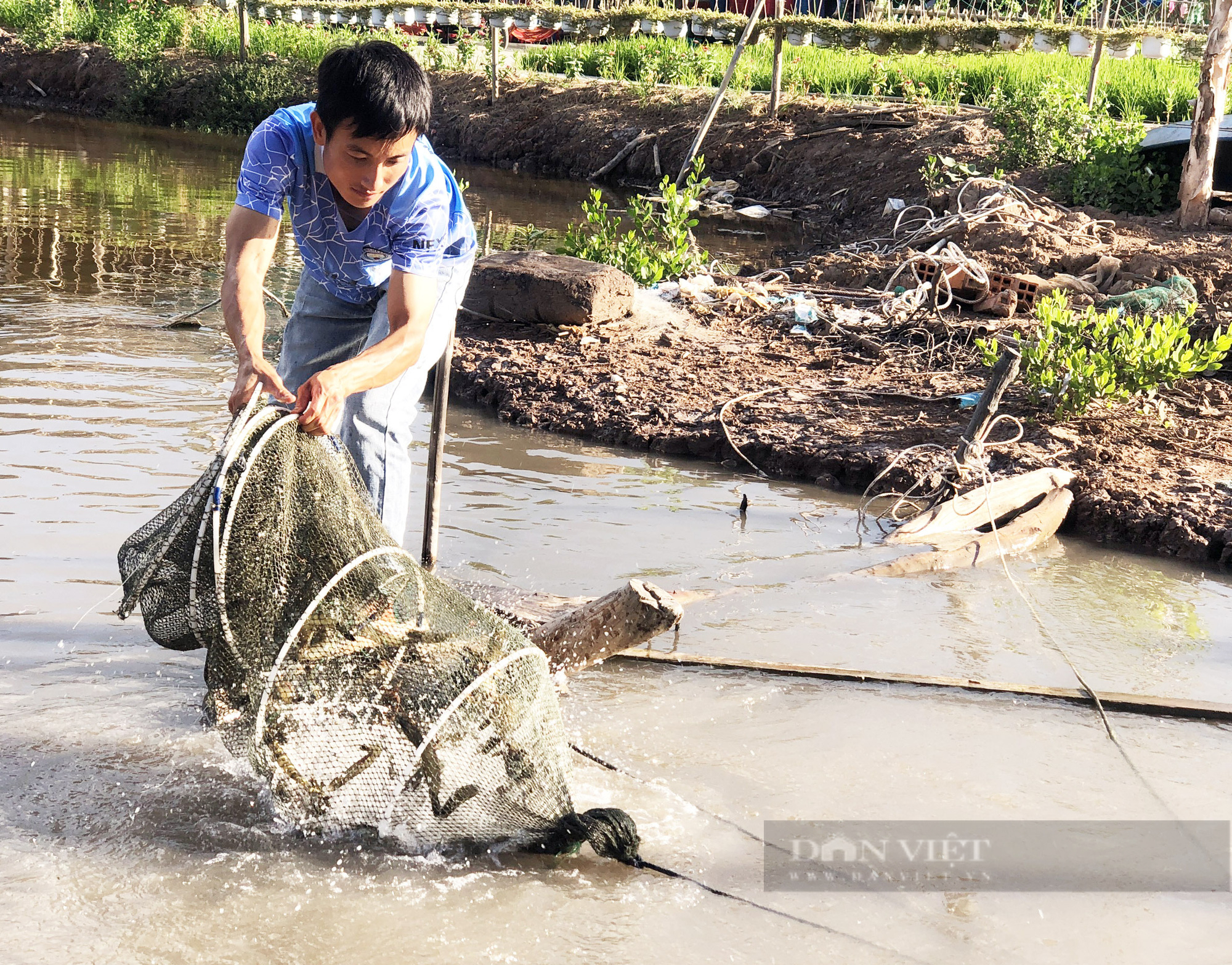 Bỏ học đại học, 9X cùng bạn gái về rừng ngập mặn khởi nghiệp bằng du lịch sinh thái - Ảnh 7.