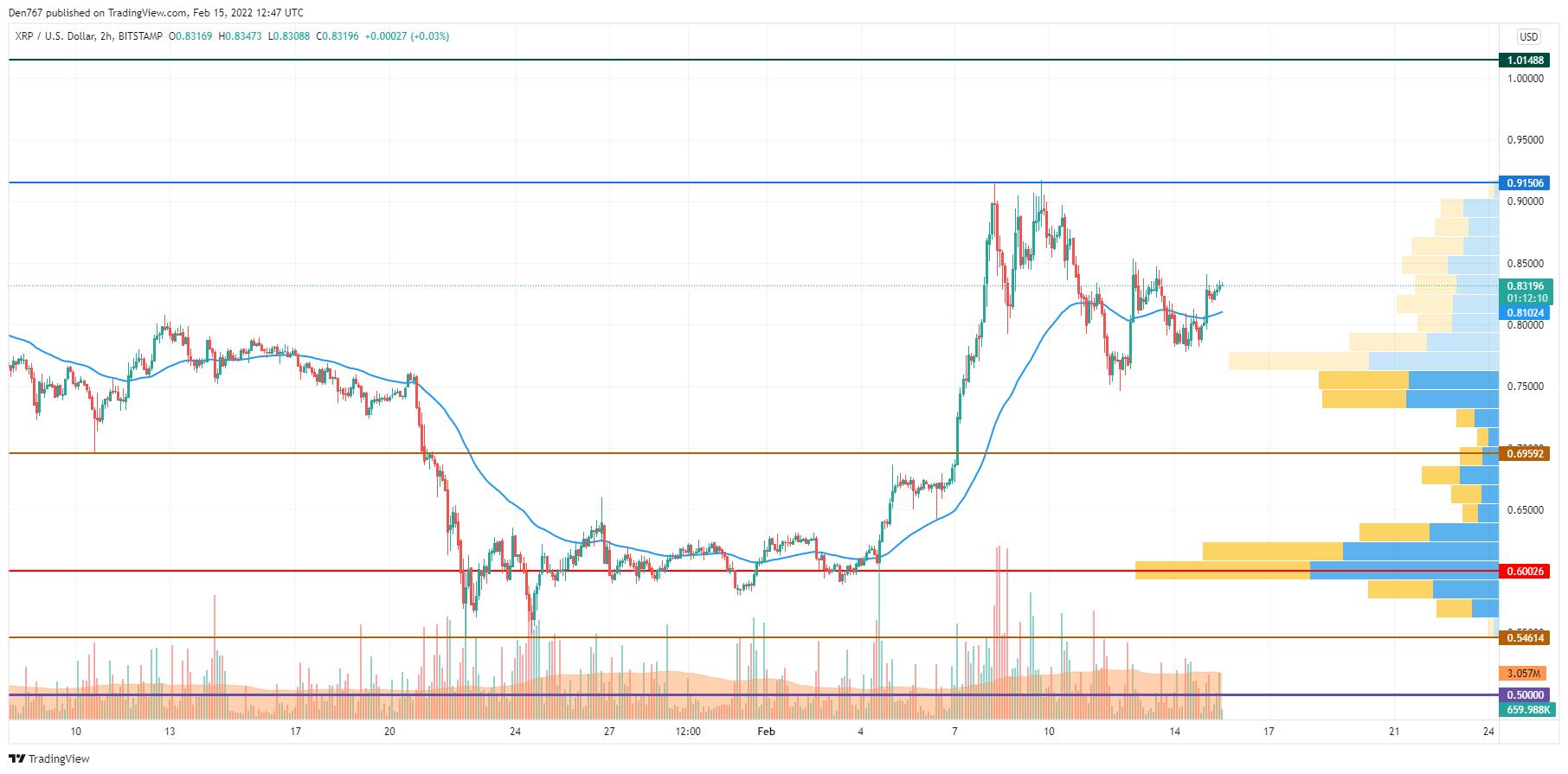 Giá Bitcoin hôm nay 16/2: Bitcoin tăng lên mức 44.000 USD, sắc xanh đã trở lại - Ảnh 3.